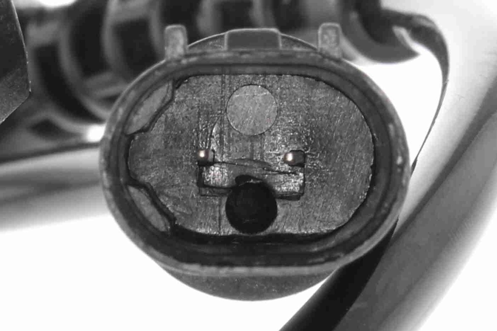 V20-72-5202_03.JPG