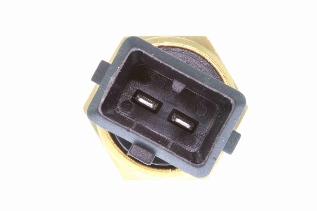 V20-72-0444_03.JPG