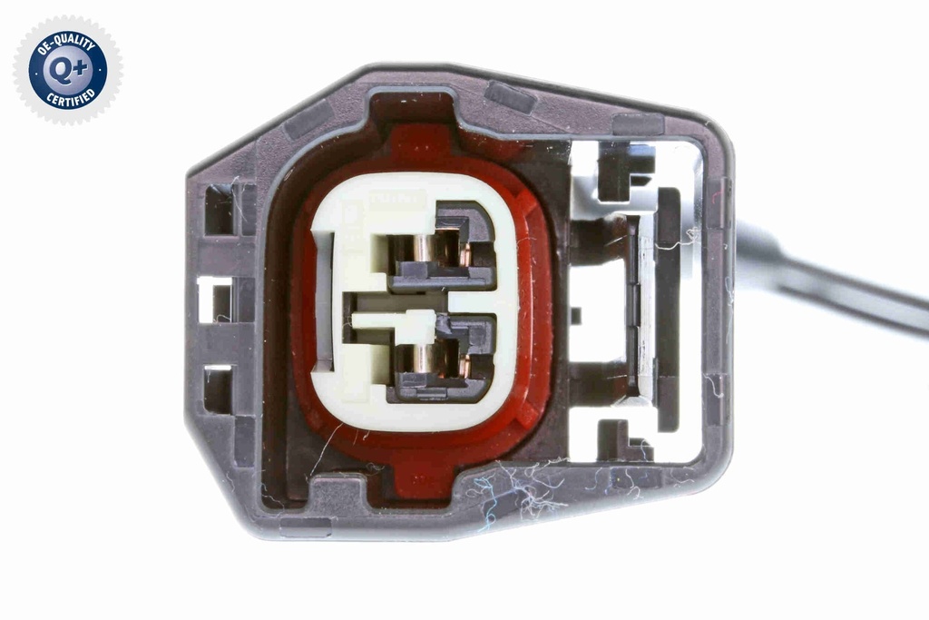 V95-72-0017_03.JPG
