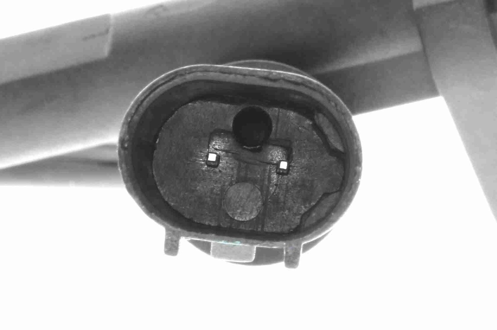 V20-72-5205_03.JPG