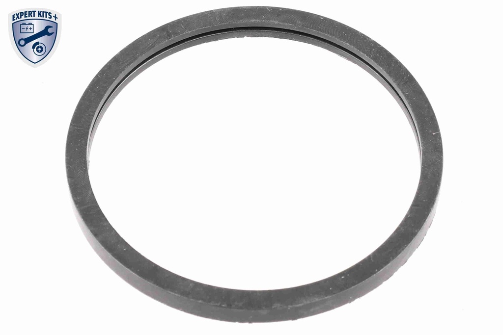 V95-99-0010_04.JPG