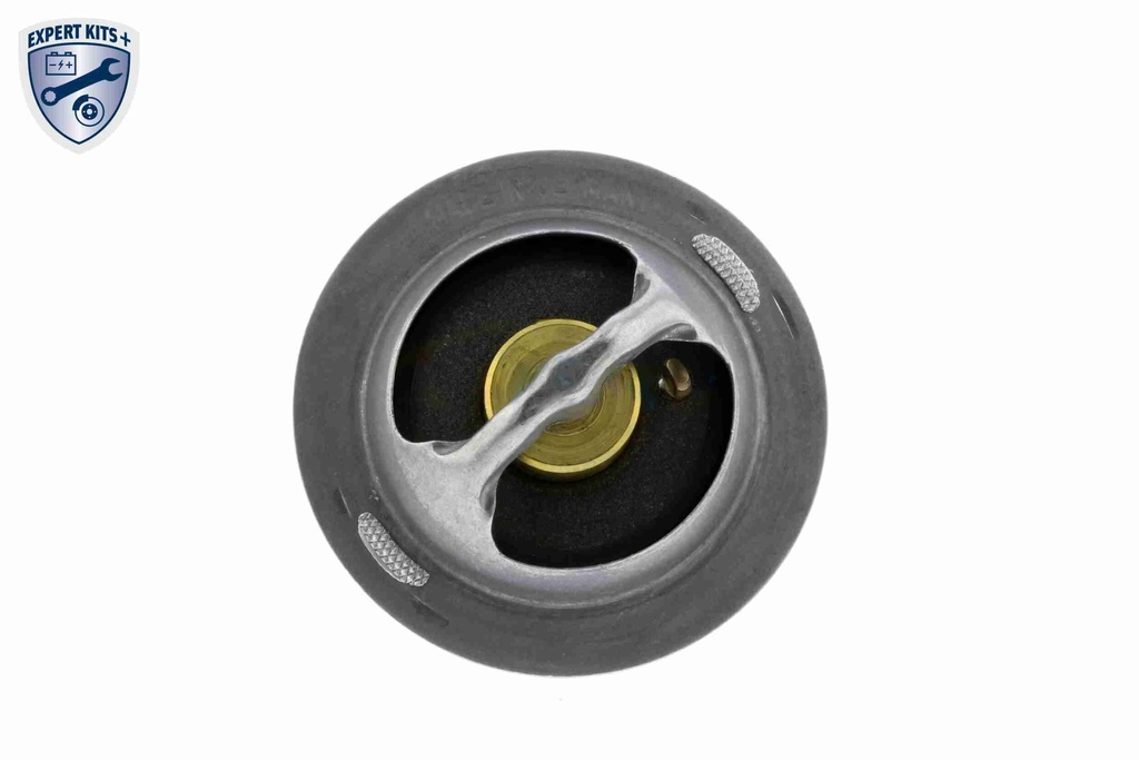 V95-99-0010_62.JPG