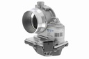 V20-81-0024_61.JPG