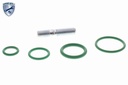 V30-77-0020_03.JPG