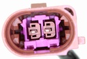 V10-72-1471_03.JPG