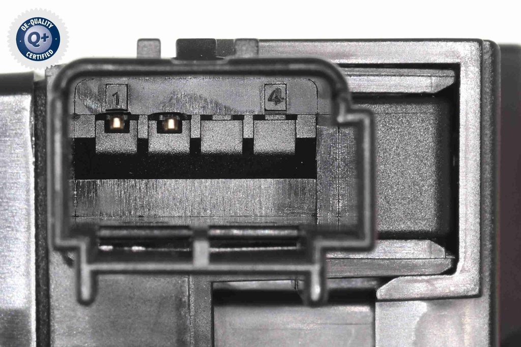 V10-72-0873_05.JPG