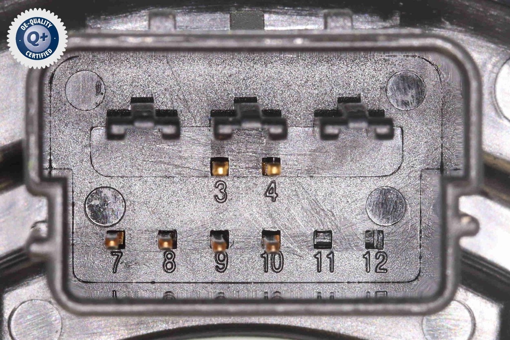 V10-72-1619_10.JPG