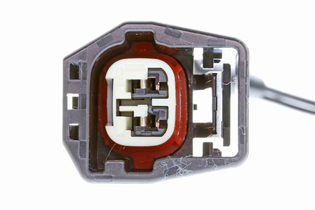 V95-72-0017_03.JPG