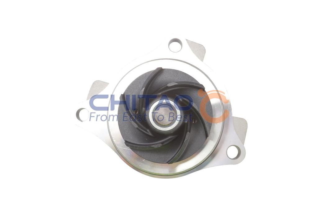 ct110100_2.JPG