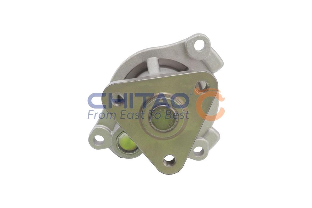 ct110100_3.JPG