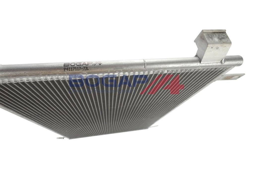 p4117117_5.JPG