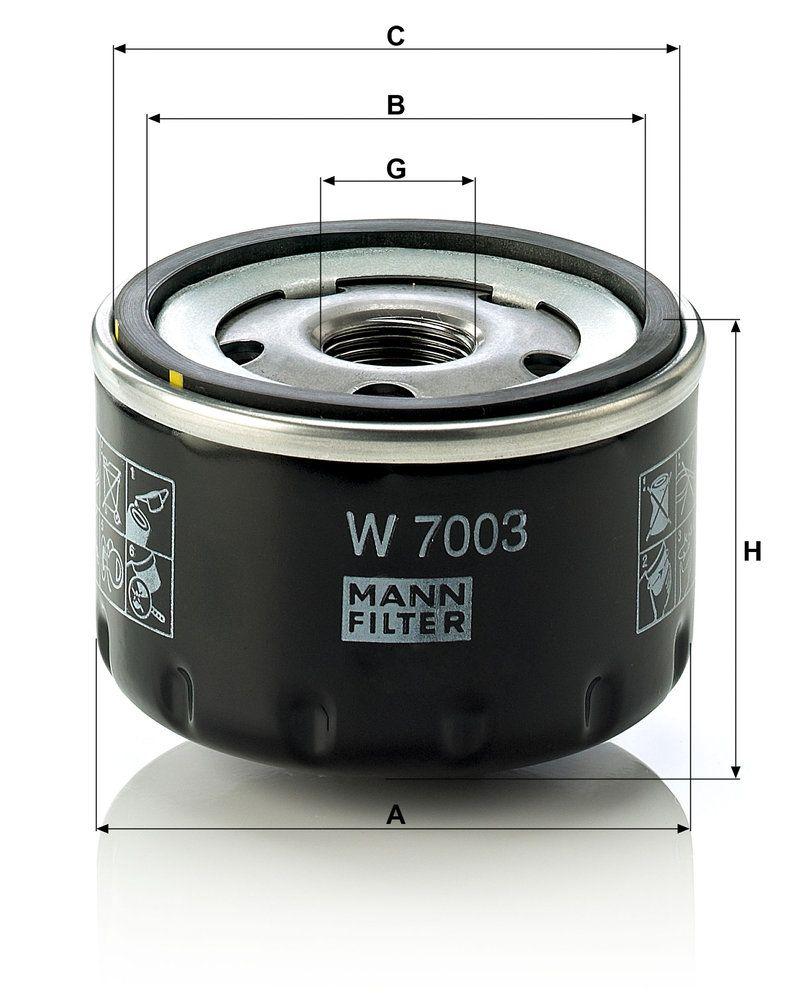 W_7003-DIM.JPG
