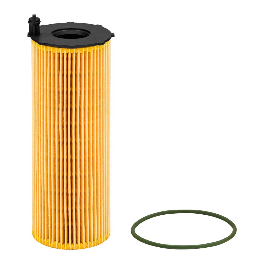 HU_8003_X-ERP1550462S51.JPG