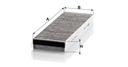 CUK_3023-2-DIM.JPG