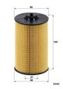 HU_7020_Z-DIM-MM.JPG