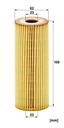 HU_727.1_X-DIM-MM.JPG