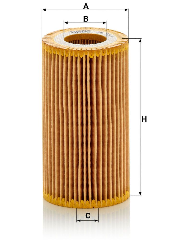 HU_718.1_K-DIM.JPG