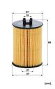 HU_612.1_X-DIM-MM.JPG