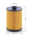 HU_8009_Z-DIM.JPG
