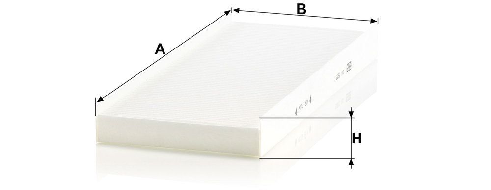 CU_3955-DIM.JPG