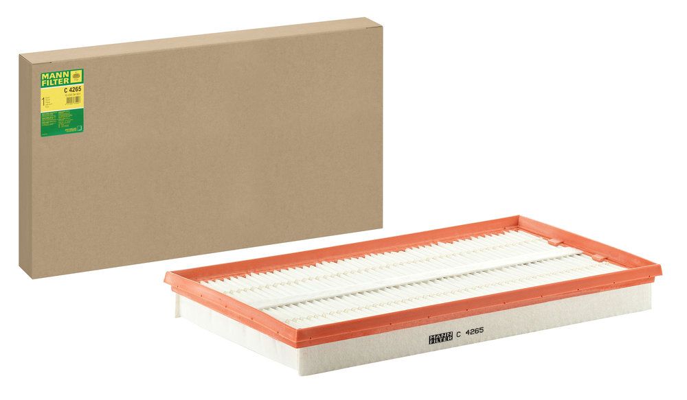 C_4265-FILTER-WITH-BOX.JPG