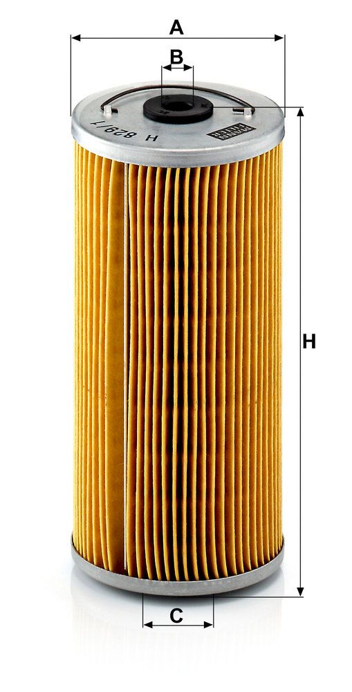 H_829.1_X-DIM.JPG
