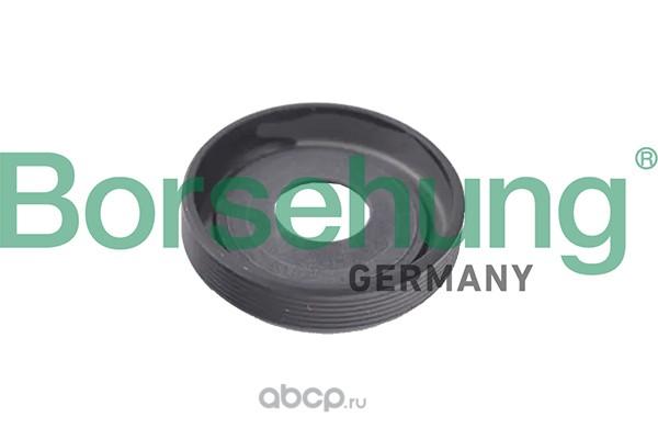 BALANCE SHAFT SEAL BORSEHUNG VAG