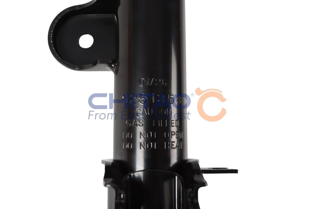 ct10804_5.JPG