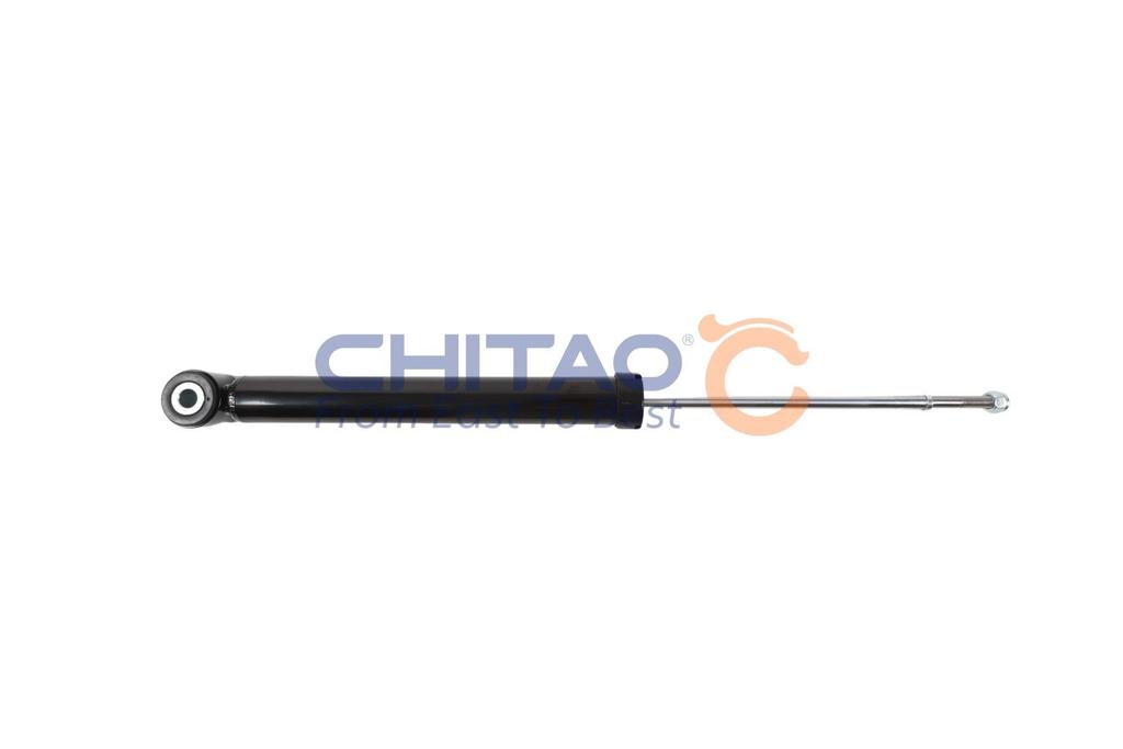 ct10806_2.JPG