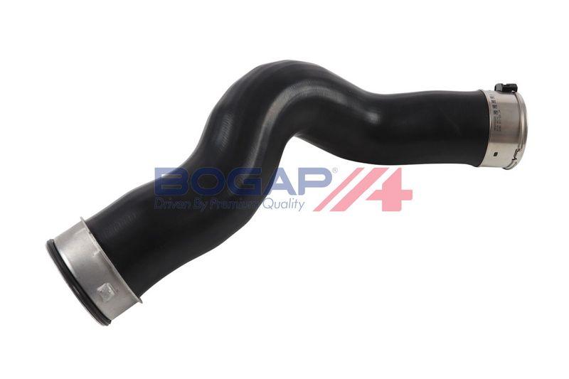 b1711233_1.JPG