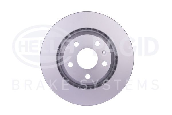 REAR DISC PAGID VAG