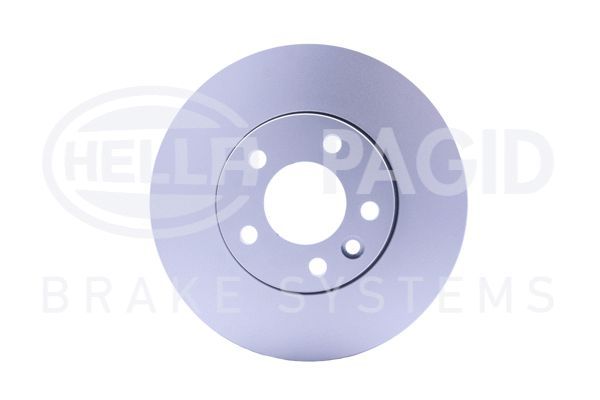 REAR DISC PAGID VAG