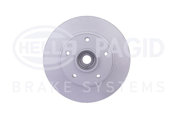 REAR DISC PAGID RENAULT