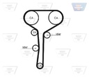 TIMING BELT OPTIBELT RENAULT