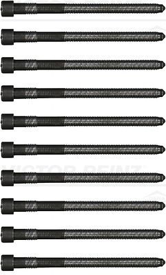 HEAD BOLT KIT VICTOR REINZ VAG
