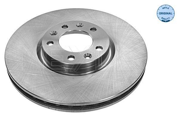 FRONT DISC 304MM MEYLE PSA