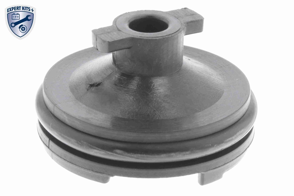 SUMP PLUG VAICO PSA