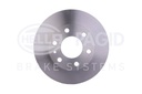 FRONT DISC PAGID IVECO