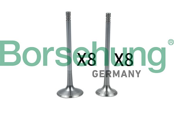 INLET & EXHAUST VALVE SET BORSEHUNG VAG