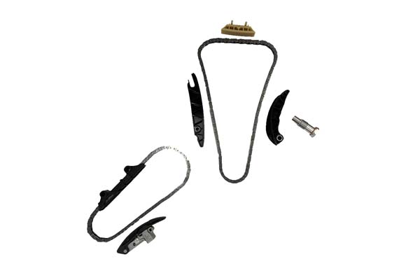 TIMING CHAIN KIT BORSEHUNG VAG