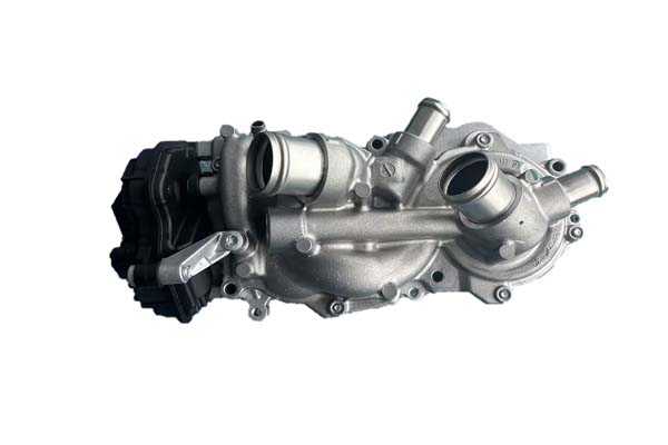 WATER PUMP COMPLETE BORSEHUNG VAG