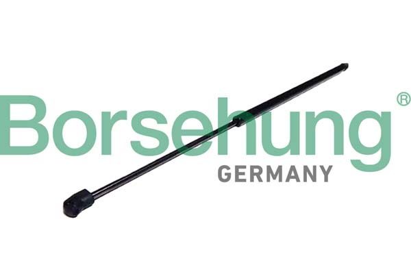 BONNET SHOCK BORSEHUNG VAG