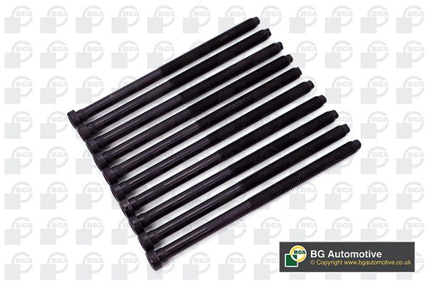 Head Bolt Kit [10 pcs] BGA VAG