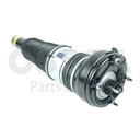 AIR STRUT FRONT OSSCA VAG