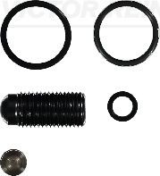 INJECTOR SEAL KIT VICTOR REINZ VAG