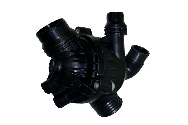 THERMOSTAT ASSY BORSEHUNG BMW