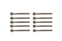 HEAD BOLT KIT [10 PCS] BORSEHUNG VAG