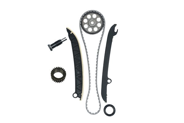 TIMING CHAIN KIT BORSEHUNG VAG*
