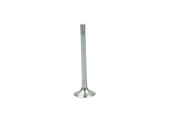 EXHAUST VALVE BORSEHUNG VAG