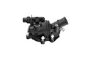 THERMOSTAT ASSY BORSEHUNG MERC